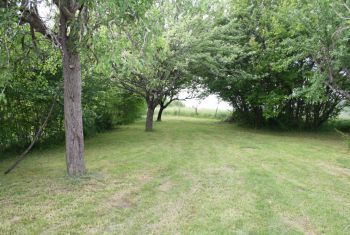 The large lawned garden