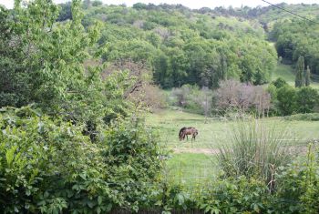 The view from the terrace