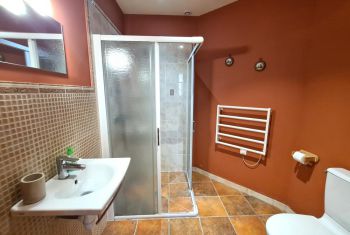 The downstairs shower room