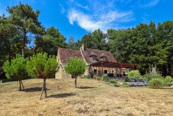 The house from the garden 