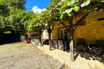 the terrace under the virginia creeper 