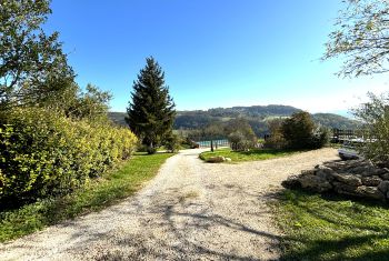 The driveway and parking area 