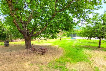 the large grassy garden is fully enclosed 