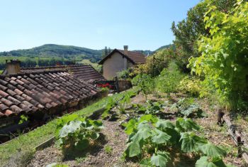 Enjoy our vegetable garden 