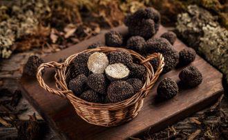 Sarlat Truffle Festival 2025