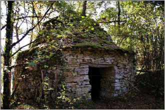 Hike in the ancient vineyards of the Céou - Wednesday mornings